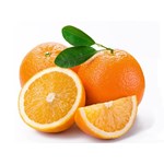 پرتقال شیرین خارجی